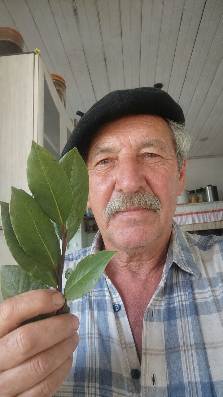 O quadro-chave gerado: o Seu João na cozinha, louro na mão, pele com ruga e poro de verdade.